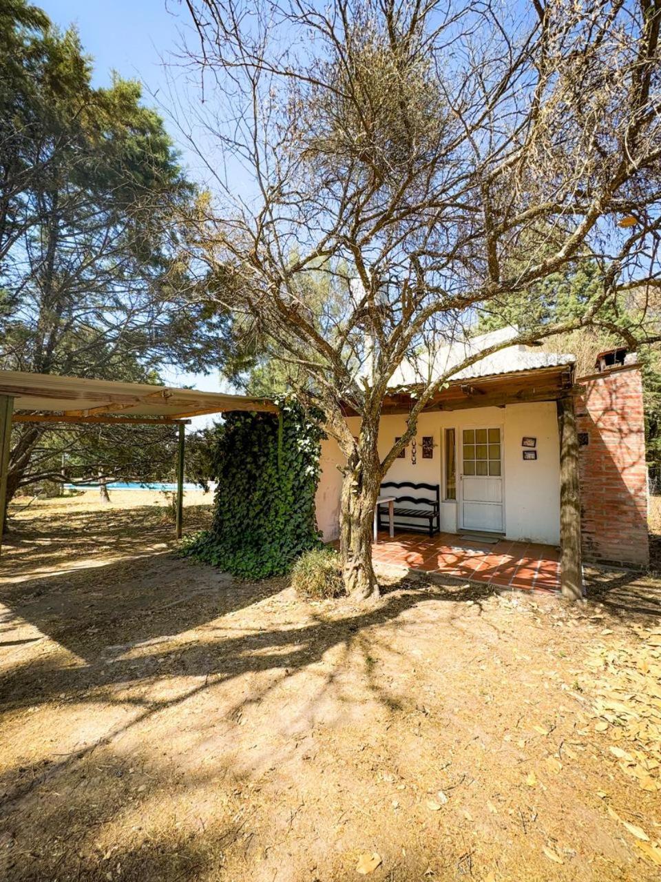 查瓦希卡瓦尼亚斯酒店 Campo Quijano 外观 照片